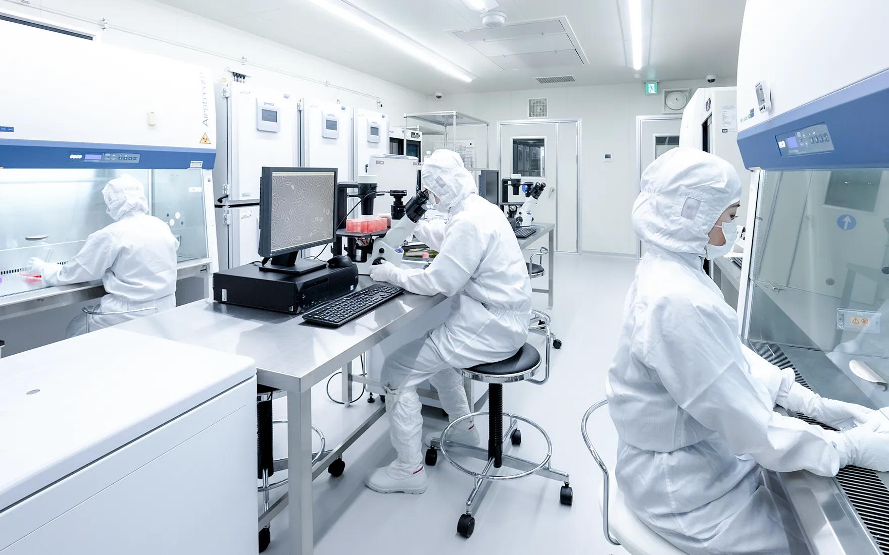 熟練の培養士達が細胞培養を行っている様子