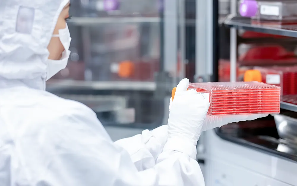 熟練の培養士が細胞培養を行っている様子