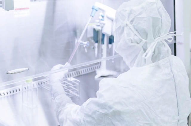 安全キャビネット内で培地をフラスコに移す培養士