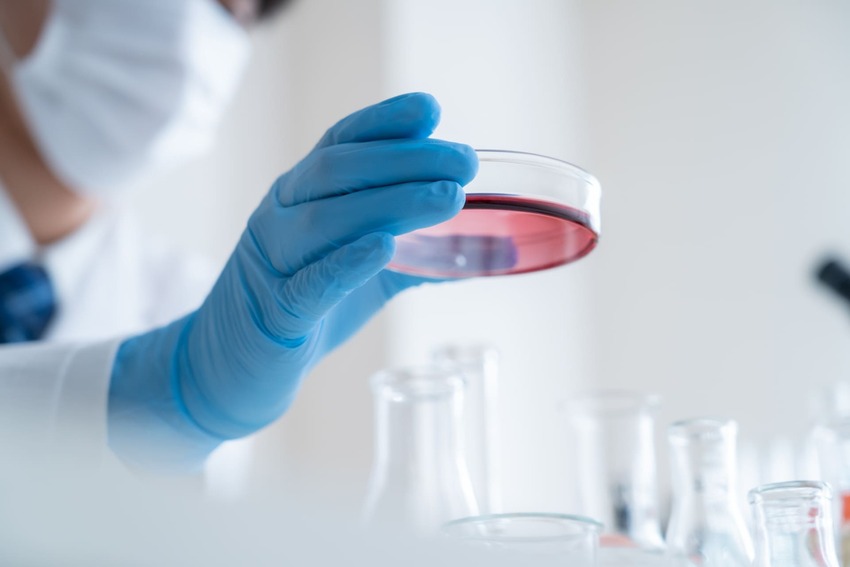 幹細胞治療の曲がれと効果