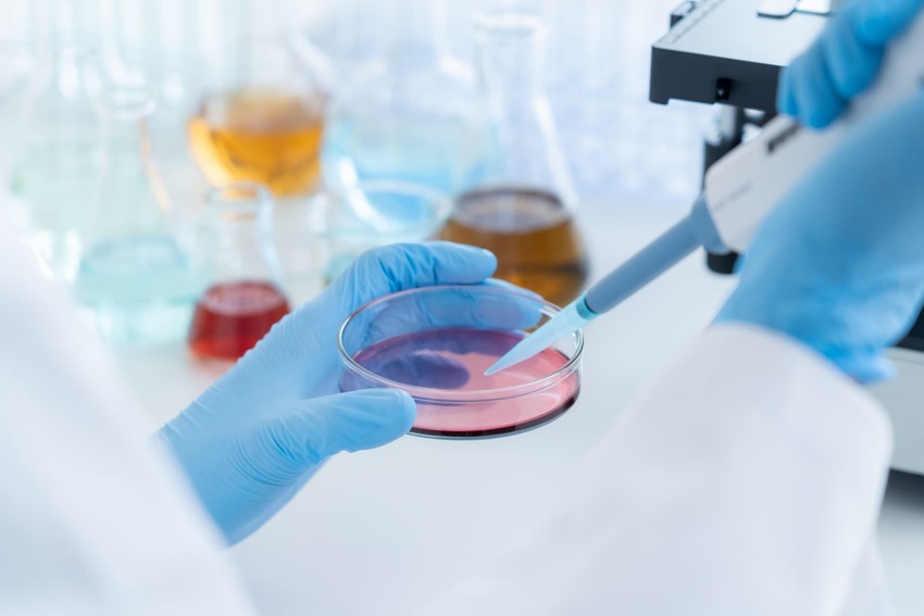 幹細胞の種類と特徴を完全ガイド